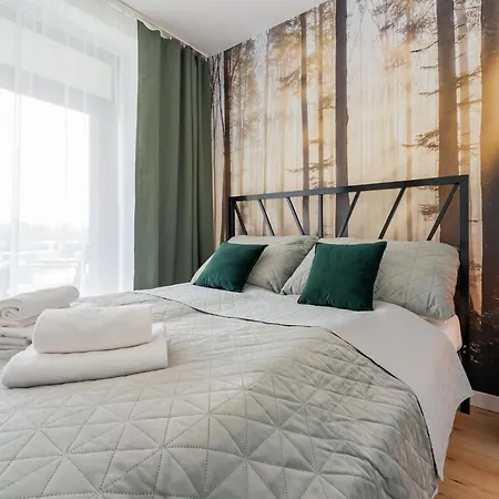 Mglisty Poranek - Laguna Beskidow - Dream Apartment Zarzecze (Silesia)